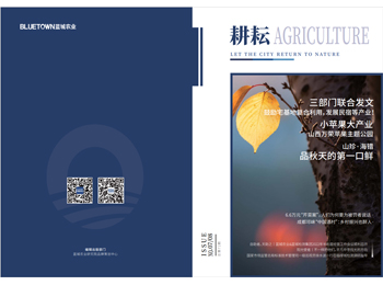 凯发·k8(中国游)官方网站